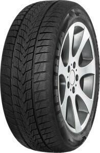 Winterreifen Minerva Frostrack UHP 215/55 R17 98V