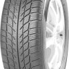 Winterreifen GoodRide SW608 205/45 R17 88H