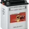 Banner Bike Bull AGM 12V 12Ah (51214) Motorradbatterien